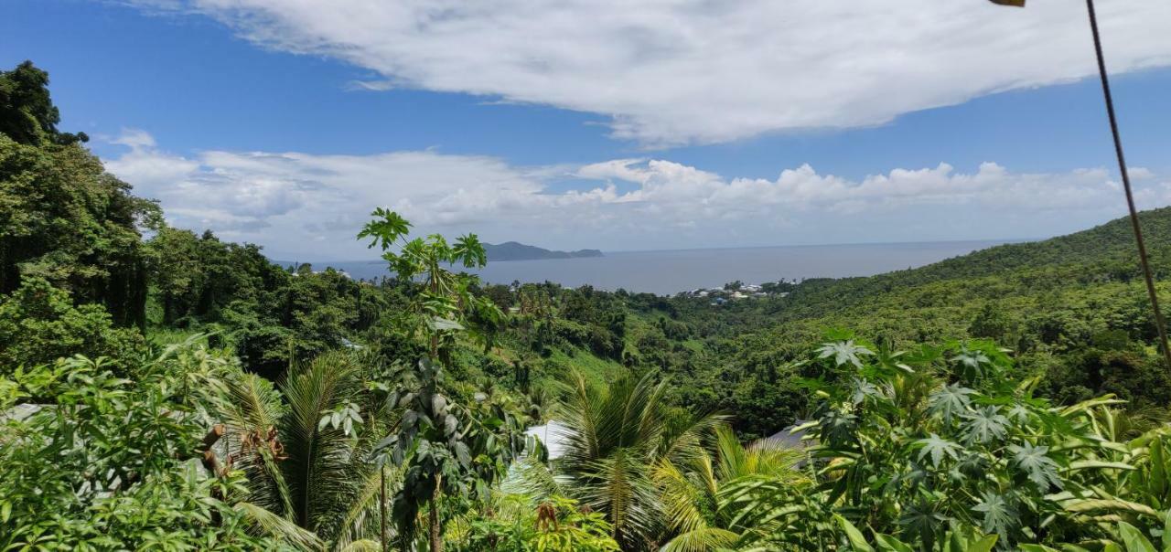 Escale Caraibes Appartement Trois-Rivières Buitenkant foto